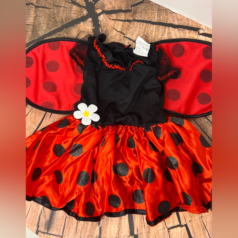 Petite Coccinelle Baby Ladybug Costume Dress and Wings - Picture 5 of 6